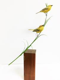 Life-Size Yellow Warblers <br />by Lonnie Dye 202//269
